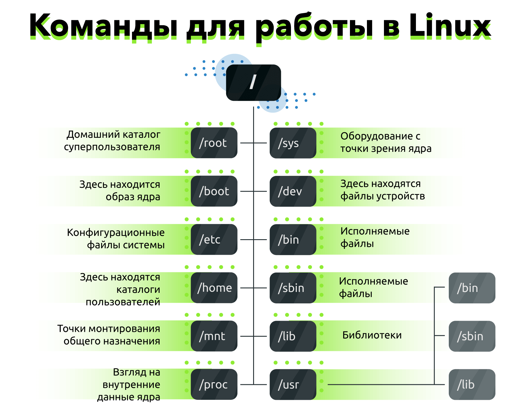 Команды linux для работы с операционной системой