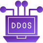 Web developers